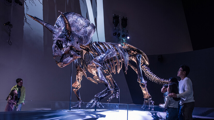 Melbourne Museum